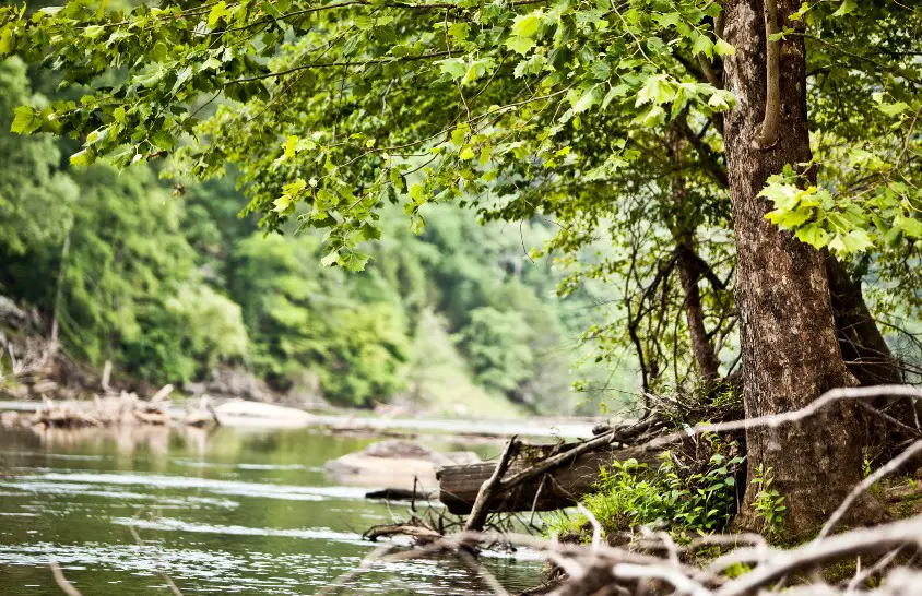 Sweetwater Creek State Park