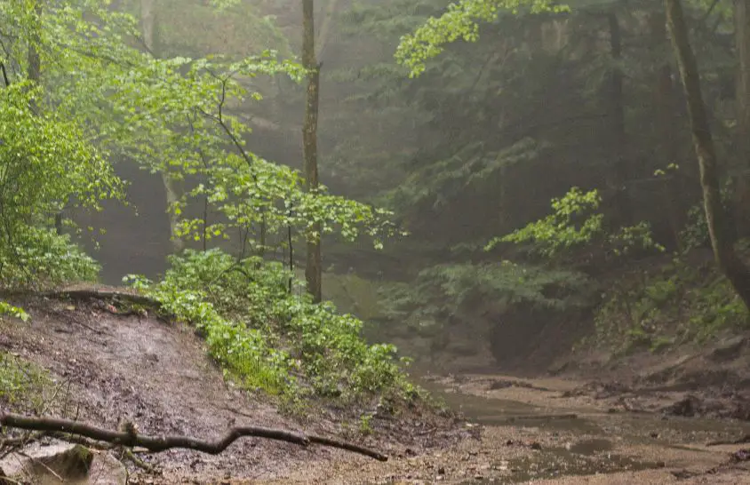 Turkey Run State Park