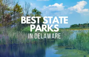 10 Best State Parks In Delaware (2023)
