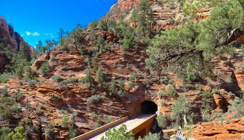 A view from the Zion-Mount Carmel Tunnel.