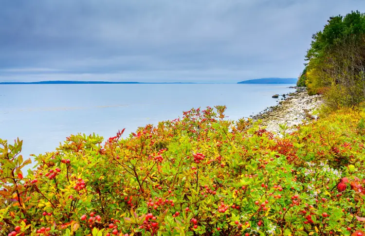 Moose Point State Park