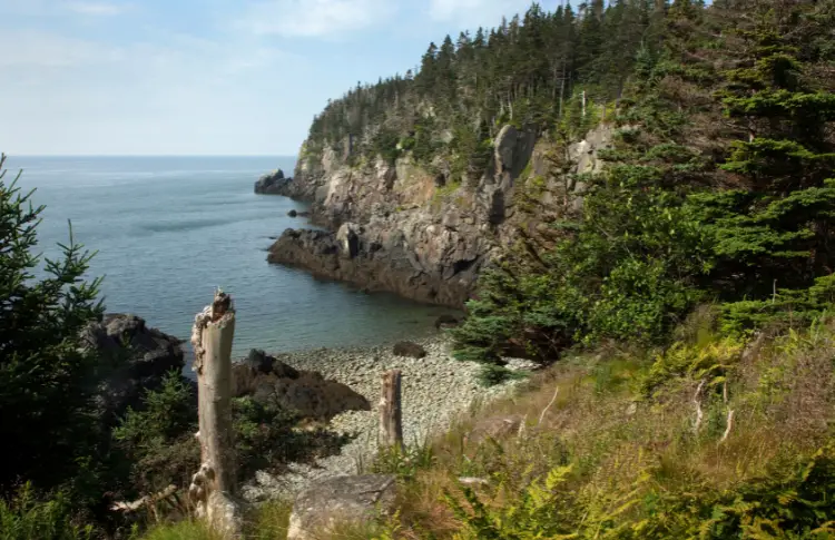 Quoddy Head State Park