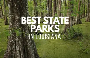 Best State Parks In Louisiana (2023)