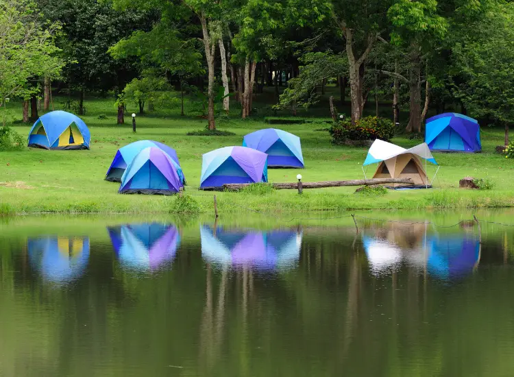 What Is Stealth Camping? (Discover the Thrill of Undetected Camping)