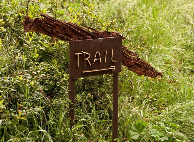 What Is a Trailhead? Explained and Demystified