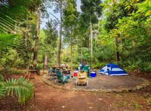 What Are Walk-Up Only Campsites? All You Need to Know