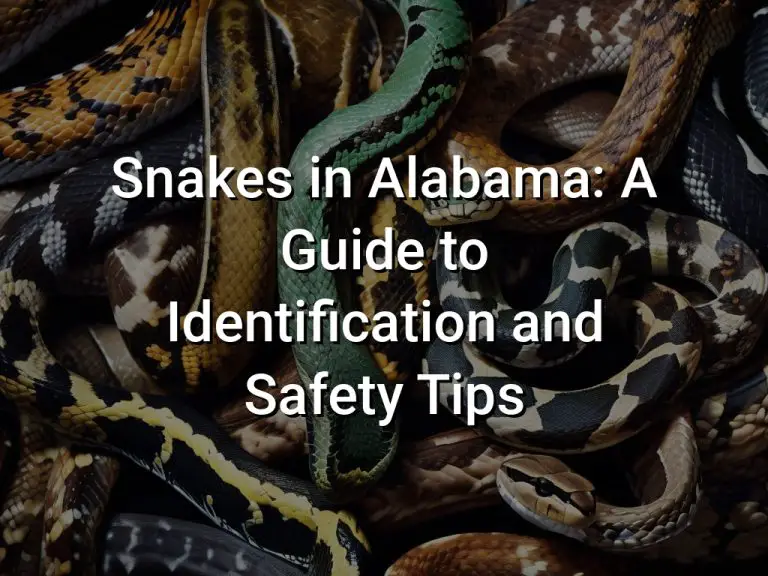 Snakes in Alabama: A Guide to Identification and Safety Tips