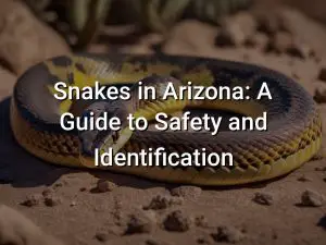 Snakes in Arizona: A Guide to Safety and Identification