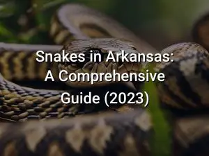 Snakes in Arkansas: A Comprehensive Guide (2023)