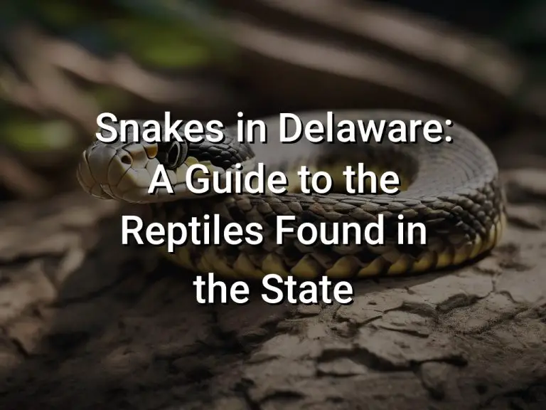 Snakes in Delaware: A Guide to the Reptiles Found in the State