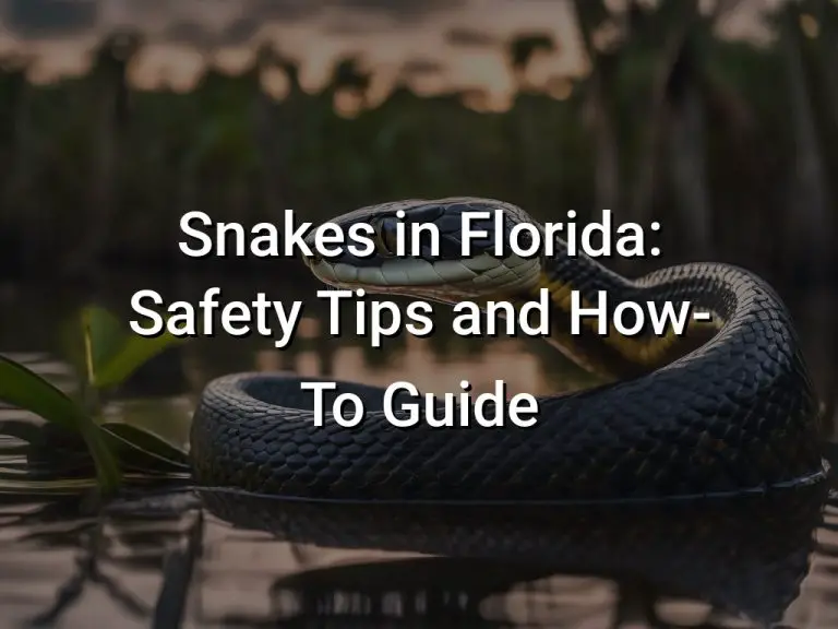 Snakes in Florida: Safety Tips and How-To Guide
