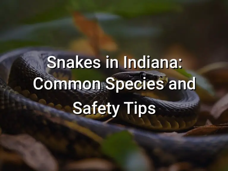 Snakes in Indiana: Common Species and Safety Tips