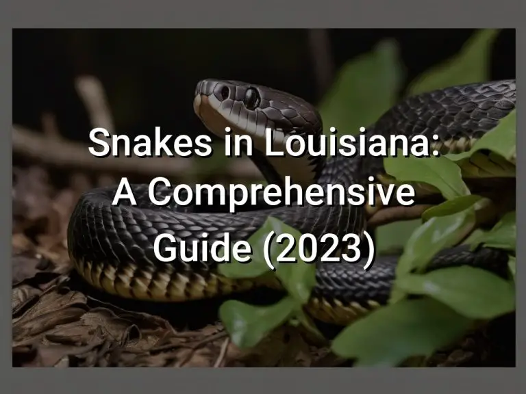 Snakes in Louisiana: A Comprehensive Guide (2023)