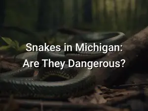 Snakes in Michigan: Are They Dangerous?