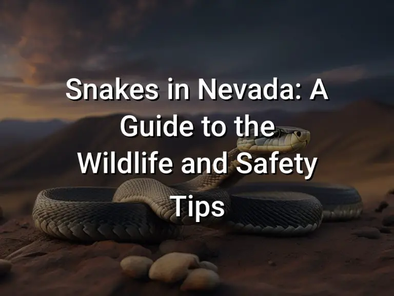 Snakes in Nevada: A Guide to the Wildlife and Safety Tips