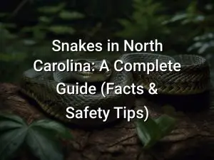 Snakes in North Carolina: A Complete Guide (Facts & Safety Tips)