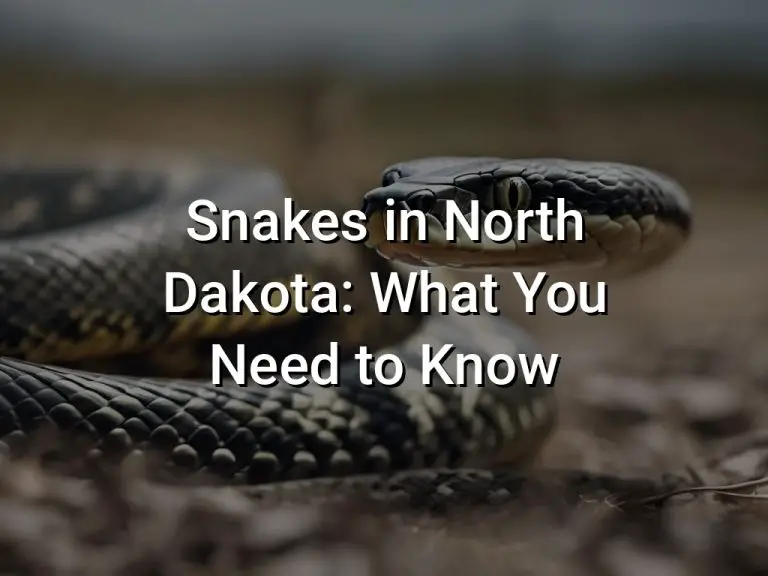 Snakes in North Dakota: What You Need to Know