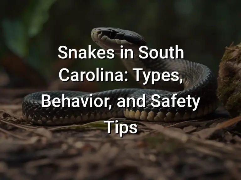Snakes in South Carolina: Types, Behavior, and Safety Tips