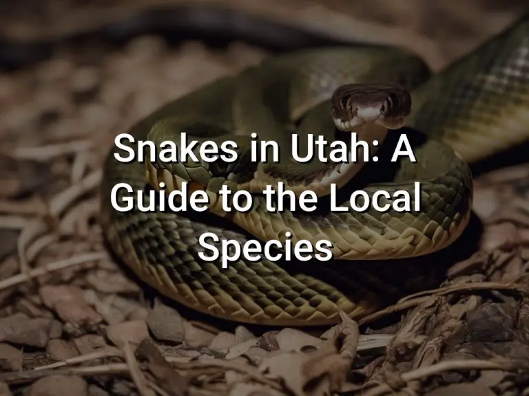 Snakes in Utah: A Guide to the Local Species
