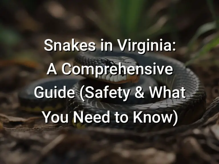 What States Do Not Have Snakes? A Comprehensive Guide - Hikers Daily