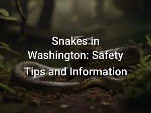 Snakes in Washington: Safety Tips and Information