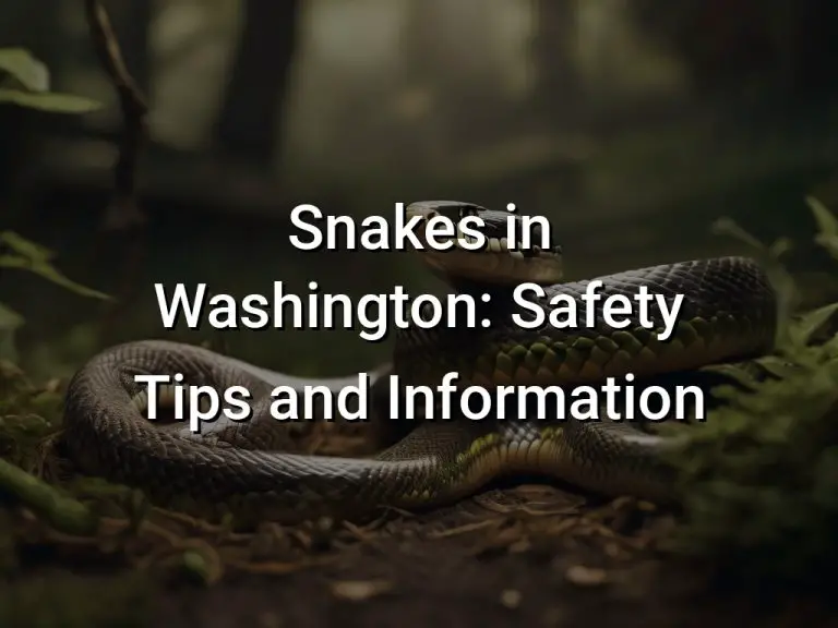 Snakes in Washington: Safety Tips and Information