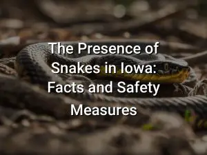 The Presence of Snakes in Iowa: Facts and Safety Measures