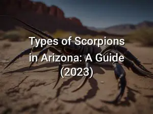 Types of Scorpions in Arizona: A Guide (2023)