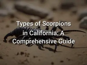 Types of Scorpions in California: A Comprehensive Guide