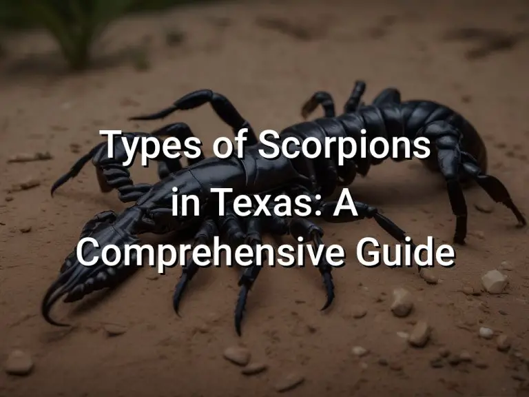 Types of Scorpions in Texas: A Comprehensive Guide